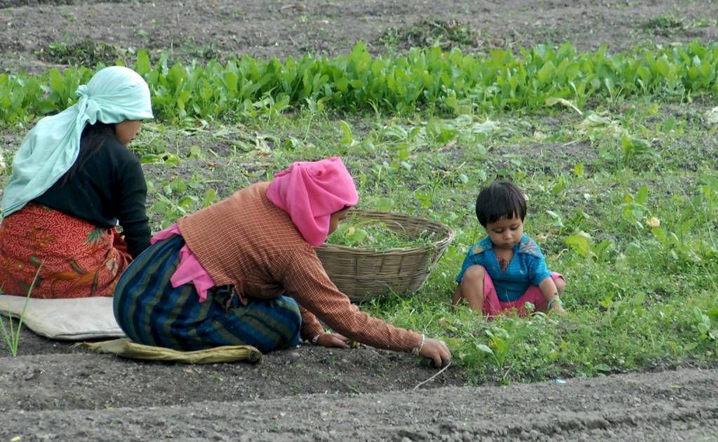 Gobierno-federal-proyecta-inversion-historica-de-17266-millones-de-pesos-para-el-campo-de-Zacatecas