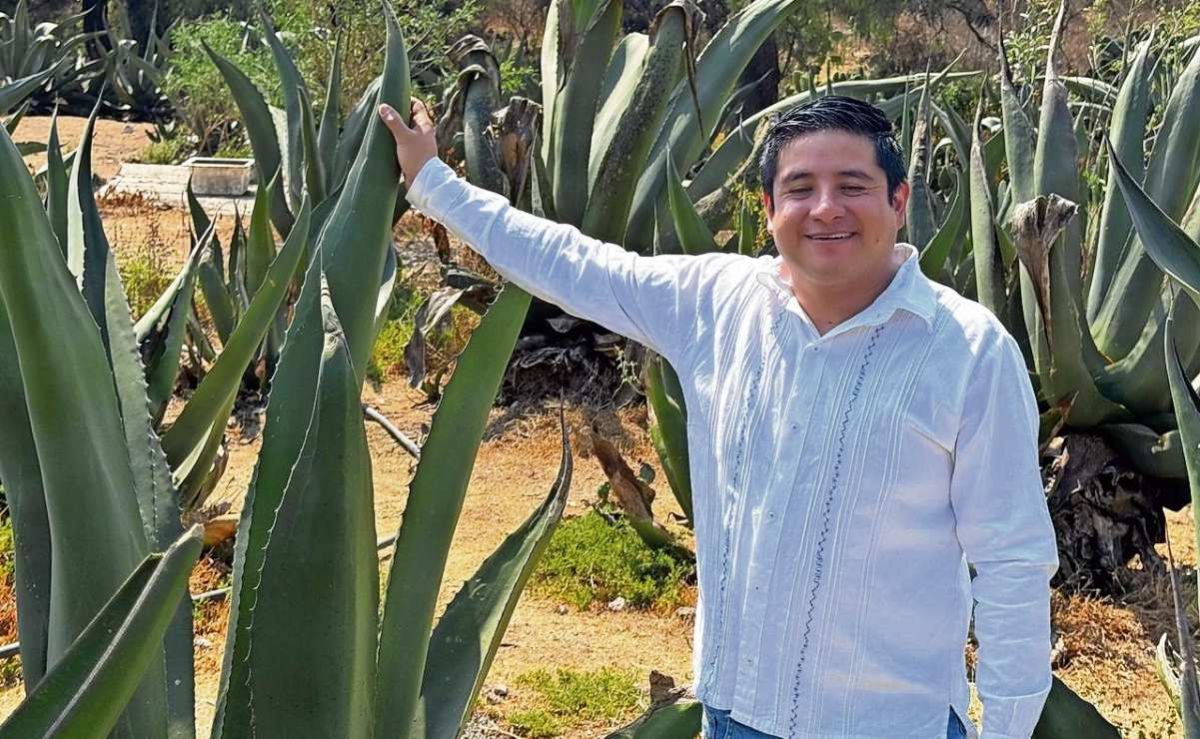 Hidalgo-impulsa-el-destilado-de-pulque-tras-la-proteccion-de-la-aguamiel