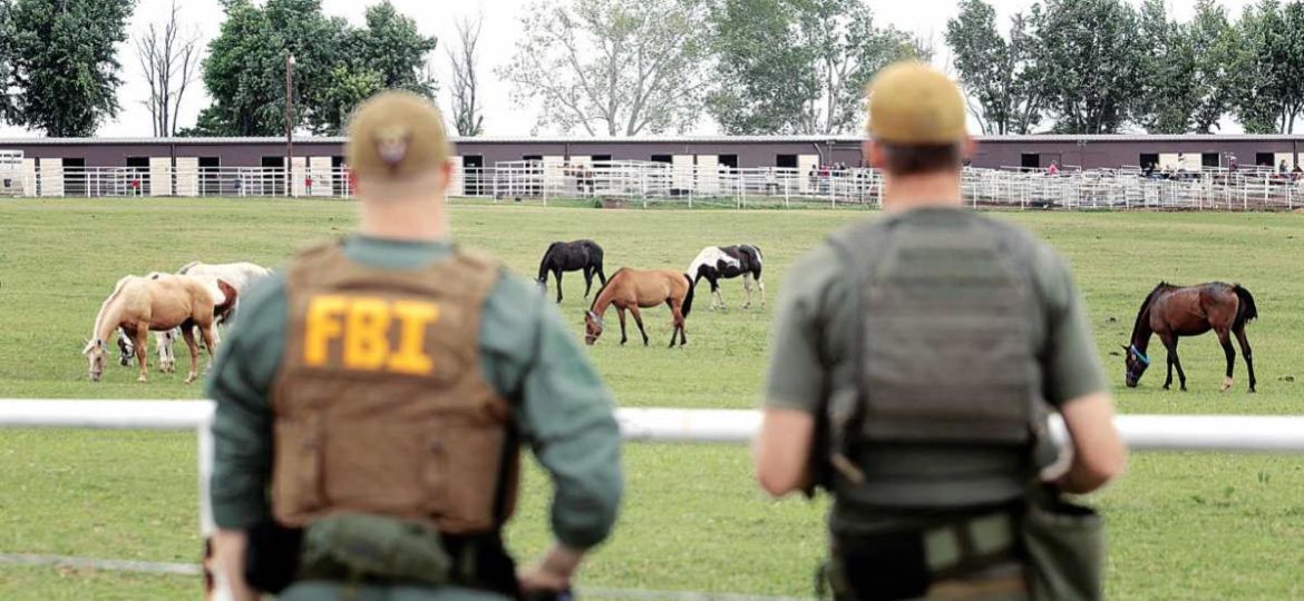 Del-lavado-con-caballos-de-Los-Zetas-a-la-red-comercial-del-Cartel-del-Noreste