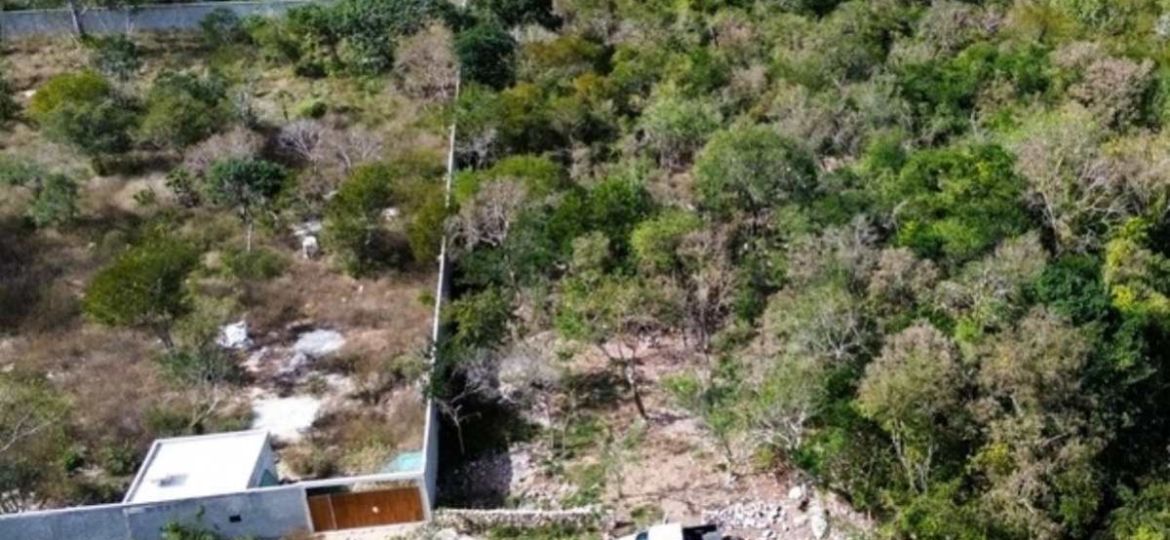 Ley-de-Armonizacion-Catastral-que-establece-y-como-funcionara-en-Mexico