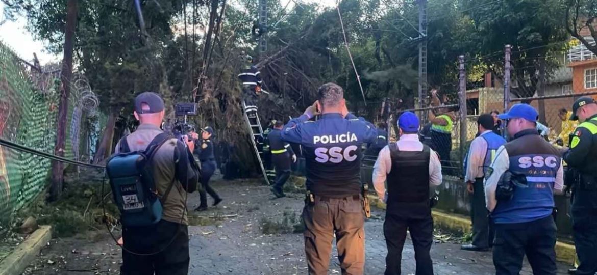Lluvia-granizo-y-fuertes-vientos-dejan-arboles-caidos-y-danos-en-el-sur-de-CDMX