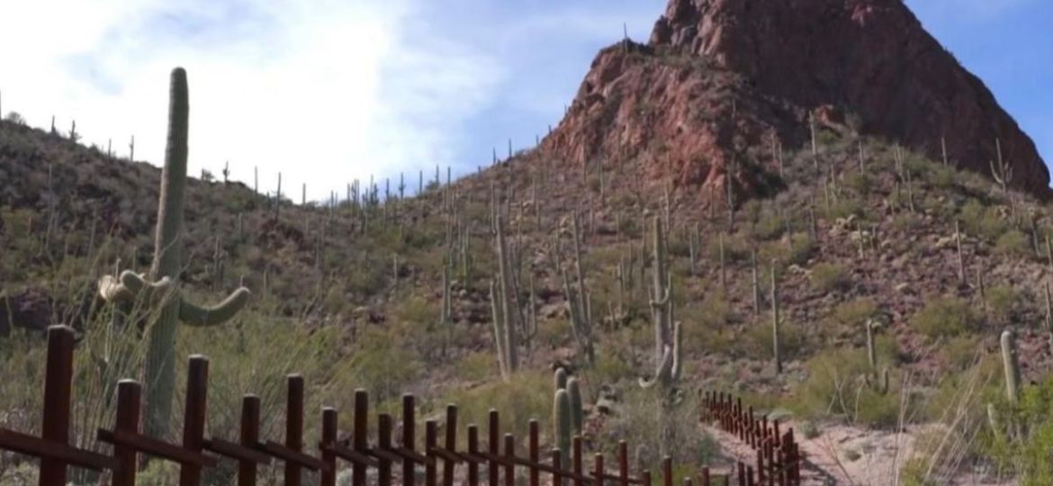 Nacion-Tohono-Oodham-denuncia-retiro-de-miles-de-saguaros-por-obras-del-muro-fronterizo