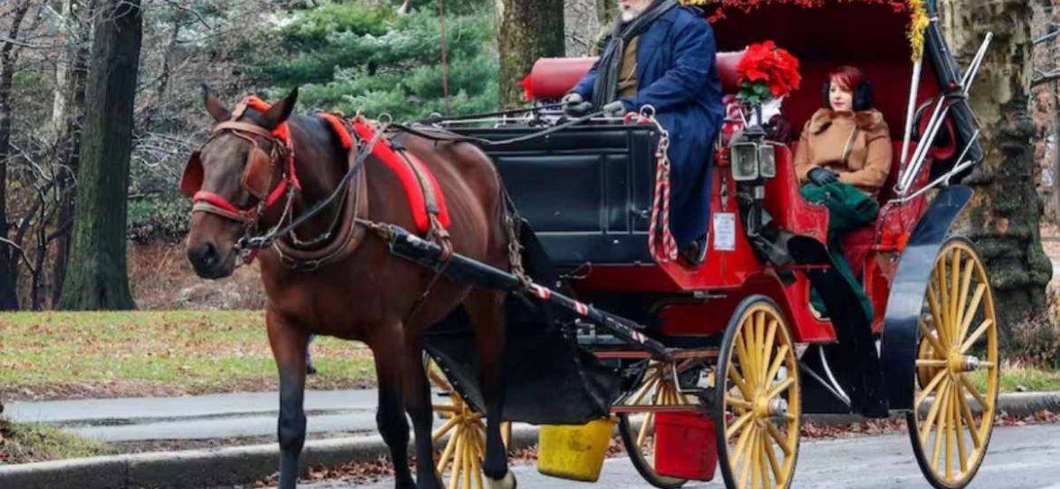 Nueva-York-acuerda-eliminar-los-carruajes-de-caballos-de-Central-Park-para-2028