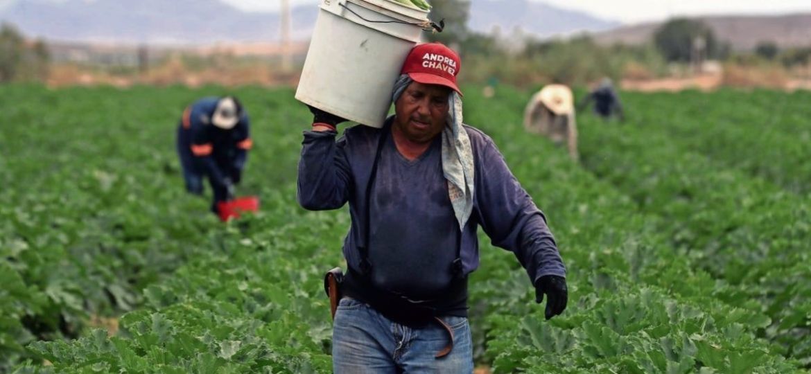 ONU-alerta-que-el-shock-energetico-puede-agravar-la-crisis-alimentaria-mundial